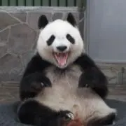 ききょう