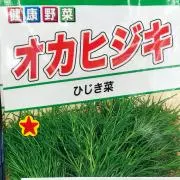オカ ヒジキの画像