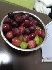 ろくの画像