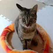 恵美クン