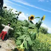 しもたん