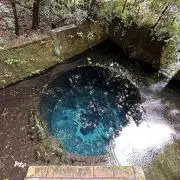 カンジの画像
