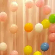 muumの画像