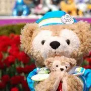 断捨離中ひよこママ☺︎