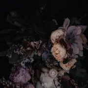 みやびの画像