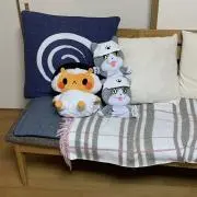 ホシホシの画像