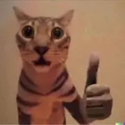 全肯定の画像
