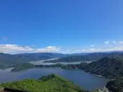 わらびもちの画像