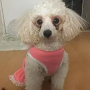 ruruuuuu♡の画像