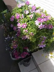 ＭＭ．工房の画像