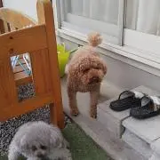 マデ！モナ！