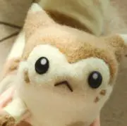 ヒョ