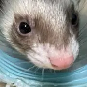 Yukiの画像