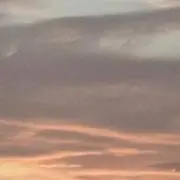 almond.の画像