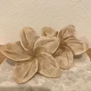 ラテの画像