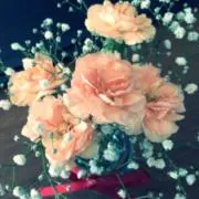 ゆかの画像