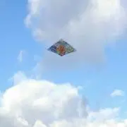 おたま