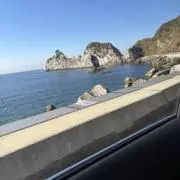 syaの画像