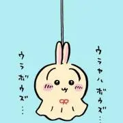 ぽんの画像