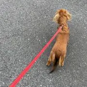 もに