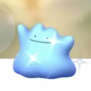 かかの画像
