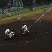 のりしおの画像