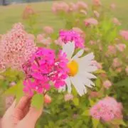 mm.の画像