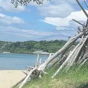 Kiichanの画像