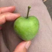 たまむすびの画像