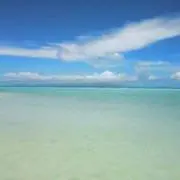 ちゃまちゃんの画像