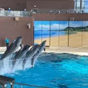 アフロの画像