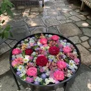 ひふみんの画像