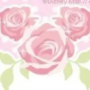 みずき
