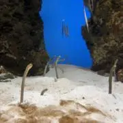 morimoriの画像