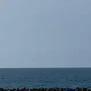 マルの画像