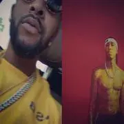 studiu_411