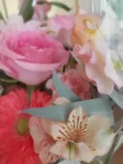 ヨッシーの画像