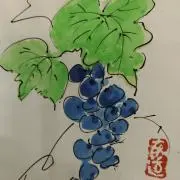 Uvaの画像