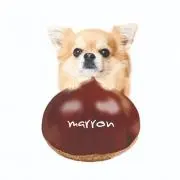 みぃ