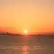 るしおの画像