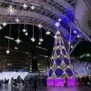 sumiの画像