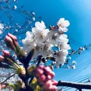 なお