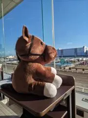 ハセさん☆プロフ読んでね☆の画像
