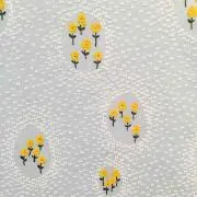 irotoridoriの画像