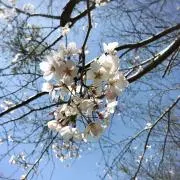 リユース☆の画像