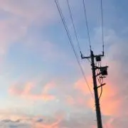 shyの画像