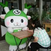 つるのかめ