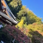 MsKの画像