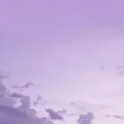 どんの画像