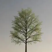 あほくさい北斎の画像